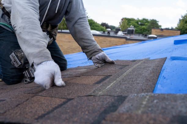 Best Roof Gutter Cleaning  in Hickory Hls, IL